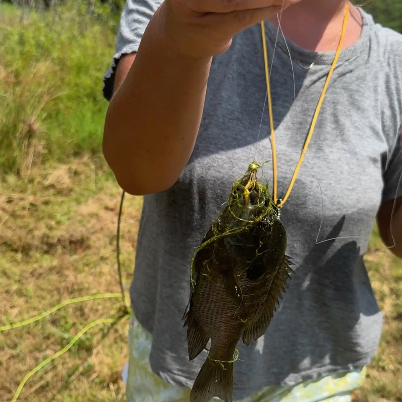 Fly Fishing Fundamentals and Flights at Southern Revere Cellars: Saturday, Nov 8, 10:30AM-12:30PM