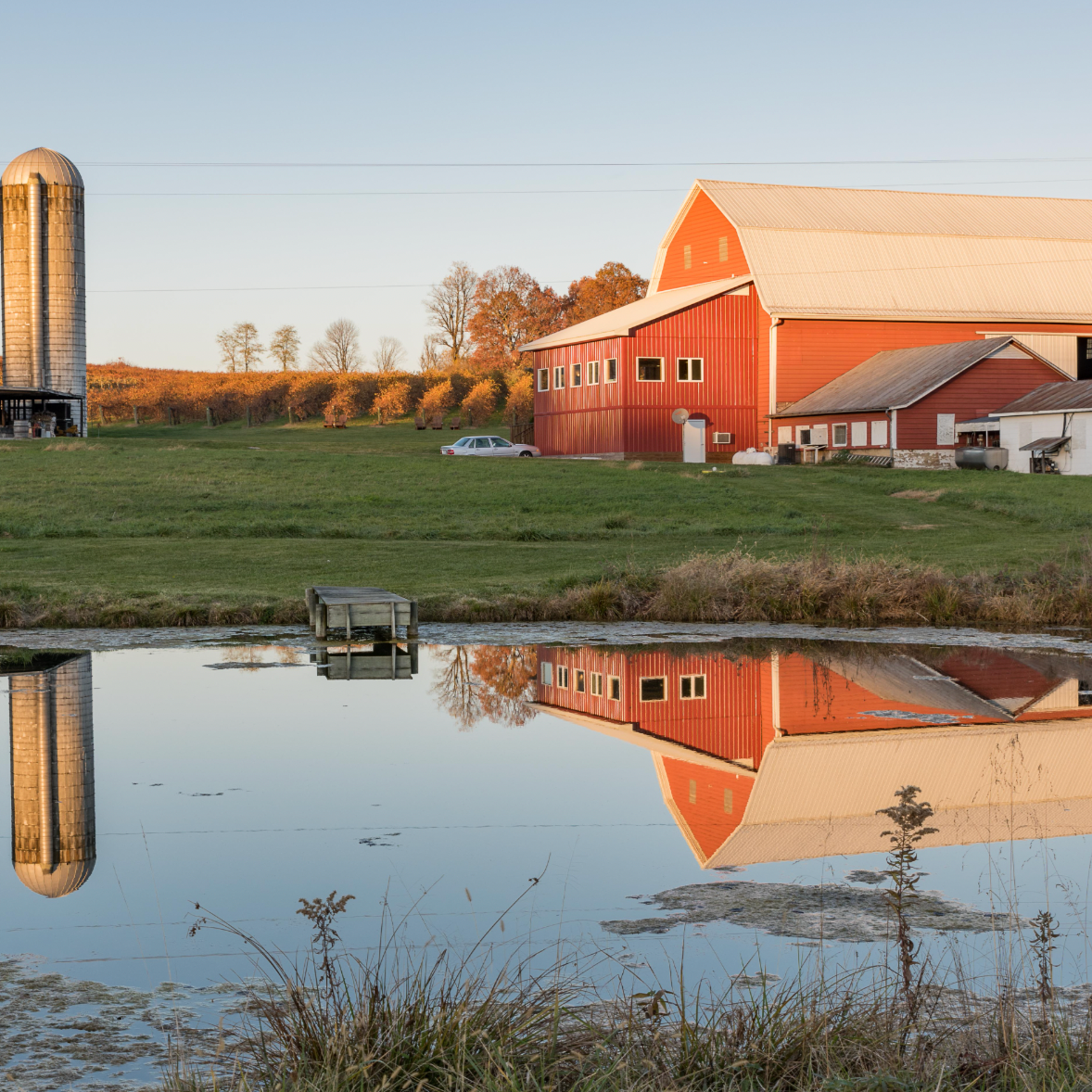 Rockbridge Vineyard and Brewery Trout-To-Table; Saturday, Nov 1, 10:00 AM-2:30 PM