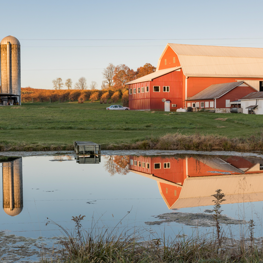 Rockbridge Vineyard and Brewery Trout-To-Table; Saturday, Nov 1, 10:00 AM-2:30 PM