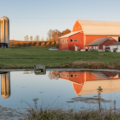 Rockbridge Vineyard and Brewery Trout-To-Table; Saturday, Nov 1, 10:00 AM-2:30 PM